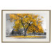 Wall Poster Autumn in the Park (Golden) - gray tree landscape with golden leaves 122761 additionalThumb 19