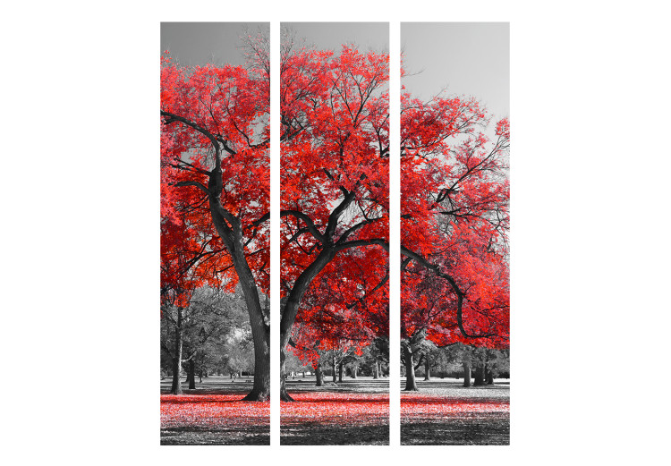 Room Separator Autumn in the Park - black and white landscape with distinct red leaves 122961 additionalImage 3