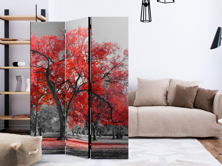 Room Separator Autumn in the Park - black and white landscape with distinct red leaves 122961 additionalImage 4
