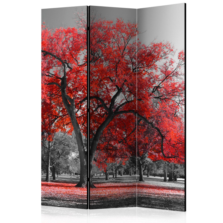 Room Separator Autumn in the Park - black and white landscape with distinct red leaves 122961