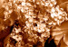 Wall Poster End of August - plant flowers and leaves in autumn sepia tone 123861 additionalThumb 9