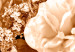 Wall Poster End of August - plant flowers and leaves in autumn sepia tone 123861 additionalThumb 8