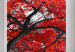 Canvas Red Maple (1 Part) Wide 124361 additionalThumb 4