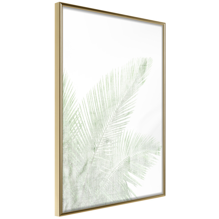 Wall Poster Velvet Green - green palm leaf on a contrasting white background 126861 additionalImage 14