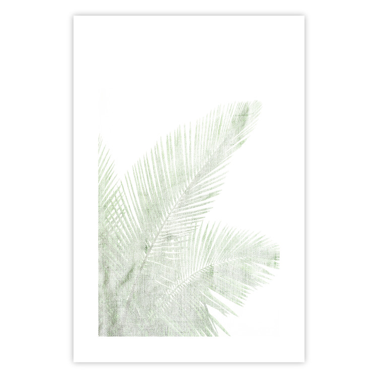 Wall Poster Velvet Green - green palm leaf on a contrasting white background 126861 additionalImage 25