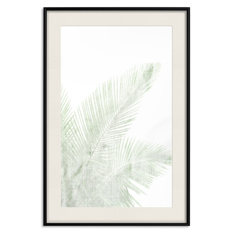 Wall Poster Velvet Green - green palm leaf on a contrasting white background 126861 additionalImage 19