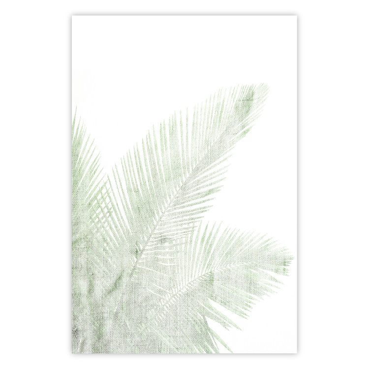 Wall Poster Velvet Green - green palm leaf on a contrasting white background 126861
