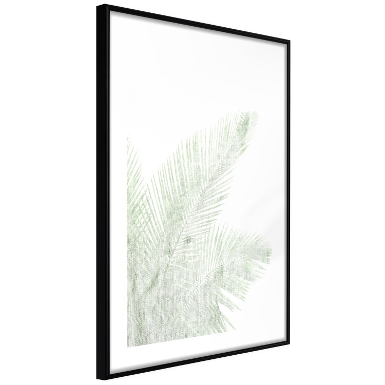 Wall Poster Velvet Green - green palm leaf on a contrasting white background 126861 additionalImage 8