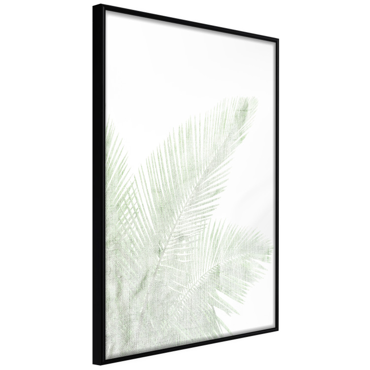 Wall Poster Velvet Green - green palm leaf on a contrasting white background 126861 additionalImage 13