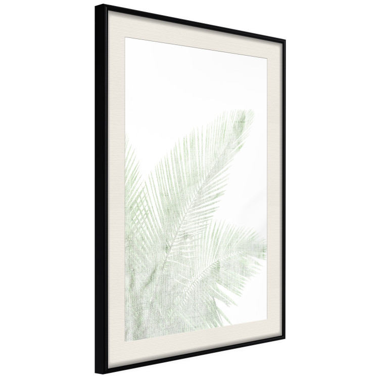 Wall Poster Velvet Green - green palm leaf on a contrasting white background 126861 additionalImage 2