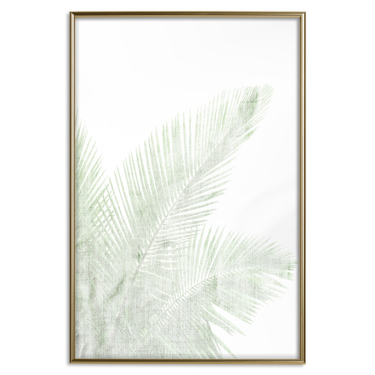 Wall Poster Velvet Green - green palm leaf on a contrasting white background 126861 additionalImage 21