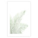 Wall Poster Velvet Green - green palm leaf on a contrasting white background 126861 additionalThumb 19