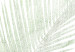 Wall Poster Velvet Green - green palm leaf on a contrasting white background 126861 additionalThumb 10