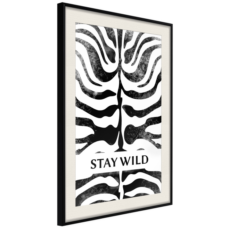 Wall Poster Stay Wild - English inscriptions on a black-and-white zebra background 127061 additionalImage 2