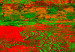 Canvas Dance of green and red - artistic abstraction with vivid colours 127461 additionalThumb 4