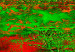 Canvas Dance of green and red - artistic abstraction with vivid colours 127461 additionalThumb 5