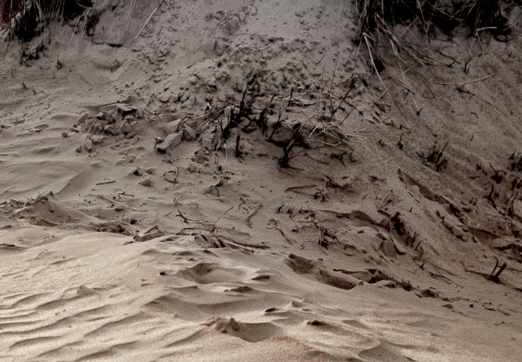 Canvas Print Path Through Dunes (1-piece) Vertical - beach landscape with sea backdrop 130361 additionalImage 4