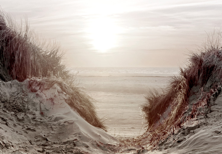 Canvas Print Path Through Dunes (1-piece) Vertical - beach landscape with sea backdrop 130361 additionalImage 5