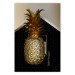 Poster Crazy Pineapple - golden tropical fruit and English text 130761