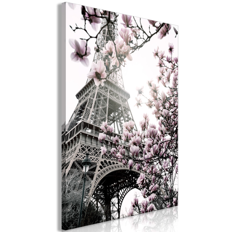 Canvas Print Magnolias in the Sun of Paris (1-piece) Vertical - spring magnolias 132261 additionalImage 2