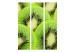 Folding Screen Kiwi Slices (3-piece) - tropical fruits in green color 133261 additionalThumb 3
