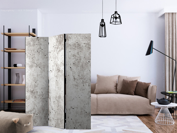 Room Separator Urban Style: Concrete (3-piece) - simple composition in gray background 133461 additionalImage 4