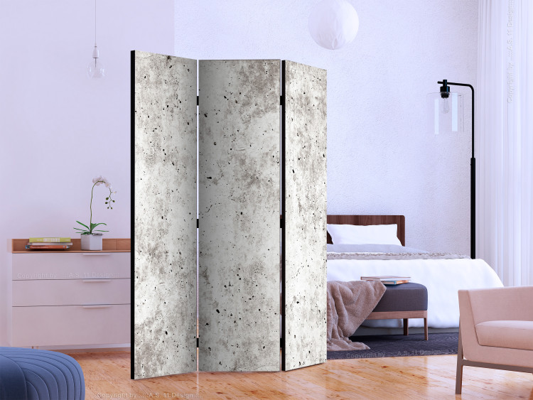 Room Separator Urban Style: Concrete (3-piece) - simple composition in gray background 133461 additionalImage 2