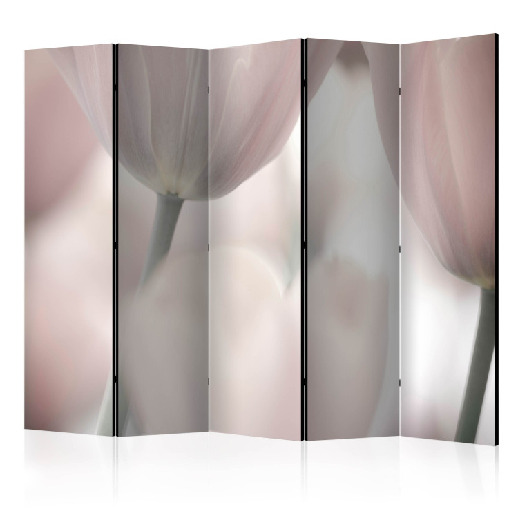 Room Divider Screen Tulips Fine Art - Black and White II - tulips in faded colors 133961