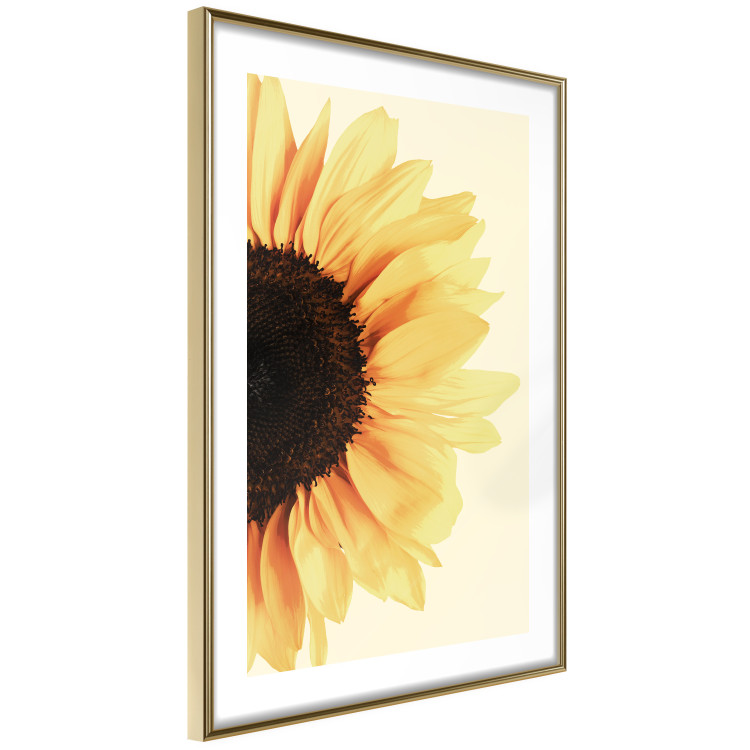 Poster Closer to the Sun - natural sunflower on a gently yellow background 135761 additionalImage 10