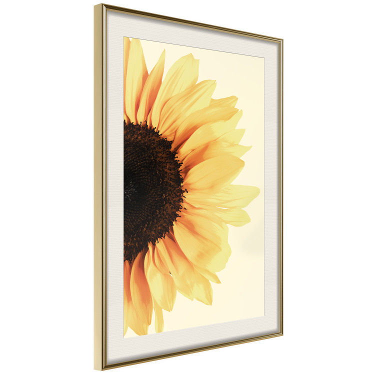 Poster Closer to the Sun - natural sunflower on a gently yellow background 135761 additionalImage 14