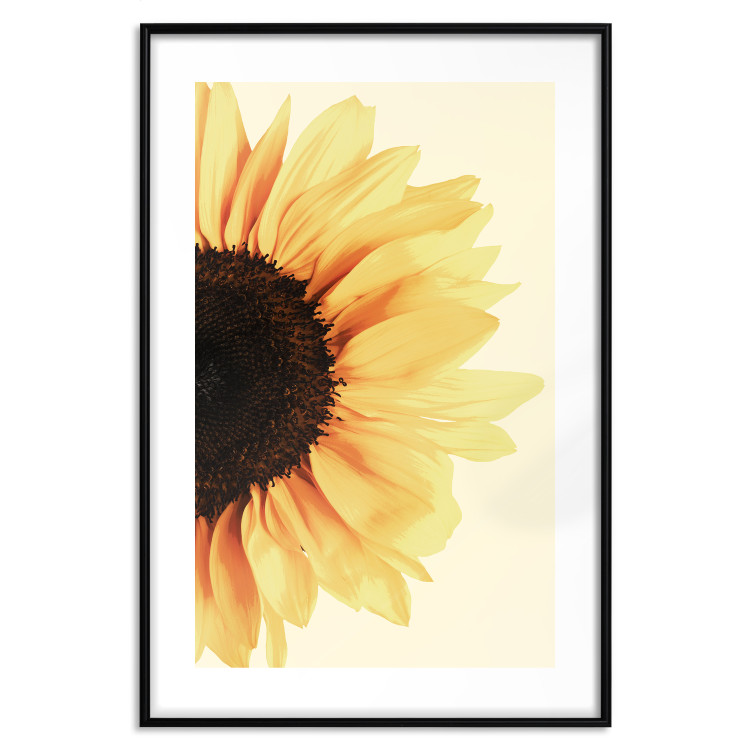 Poster Closer to the Sun - natural sunflower on a gently yellow background 135761 additionalImage 5