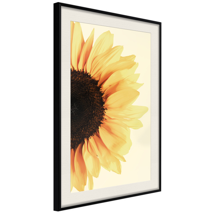Poster Closer to the Sun - natural sunflower on a gently yellow background 135761 additionalImage 13