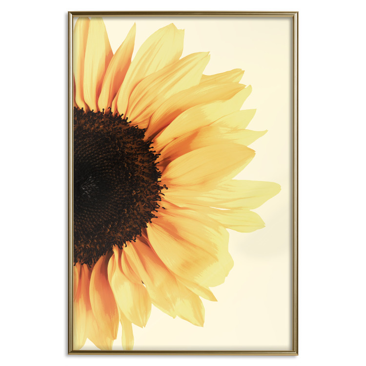 Poster Closer to the Sun - natural sunflower on a gently yellow background 135761 additionalImage 19