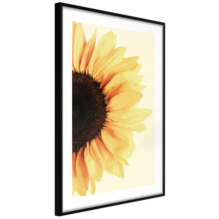 Poster Closer to the Sun - natural sunflower on a gently yellow background 135761 additionalImage 11