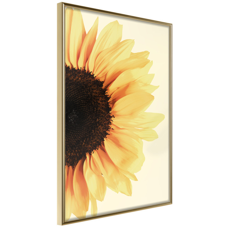 Poster Closer to the Sun - natural sunflower on a gently yellow background 135761 additionalImage 6