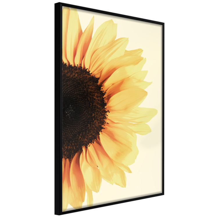Poster Closer to the Sun - natural sunflower on a gently yellow background 135761 additionalImage 7