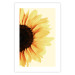 Poster Closer to the Sun - natural sunflower on a gently yellow background 135761 additionalThumb 17