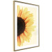 Poster Closer to the Sun - natural sunflower on a gently yellow background 135761 additionalThumb 10