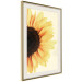 Poster Closer to the Sun - natural sunflower on a gently yellow background 135761 additionalThumb 14
