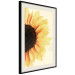 Poster Closer to the Sun - natural sunflower on a gently yellow background 135761 additionalThumb 13
