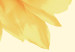 Poster Closer to the Sun - natural sunflower on a gently yellow background 135761 additionalThumb 2