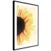Poster Closer to the Sun - natural sunflower on a gently yellow background 135761 additionalThumb 11