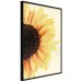 Poster Closer to the Sun - natural sunflower on a gently yellow background 135761 additionalThumb 7
