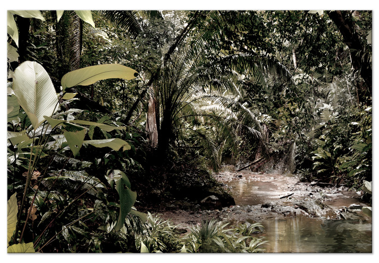 Canvas Print Sepia Jungle (1-piece) Wide - stroll through an exotic forest 138261