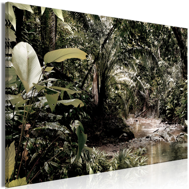 Canvas Print Sepia Jungle (1-piece) Wide - stroll through an exotic forest 138261 additionalImage 2
