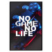 Poster No Game No Life [Poster] 142561 additionalThumb 14