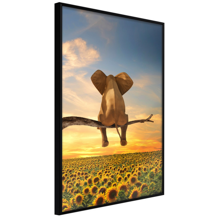 Wall Poster Elephant and Sunflowers [Poster] 142861 additionalImage 5