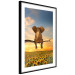 Wall Poster Elephant and Sunflowers [Poster] 142861 additionalThumb 6