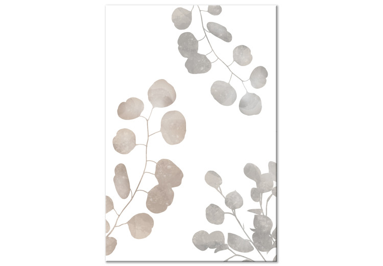 Canvas Print Eucalyptus Composition - Leaves and Twigs of Plants on a White Background 146161