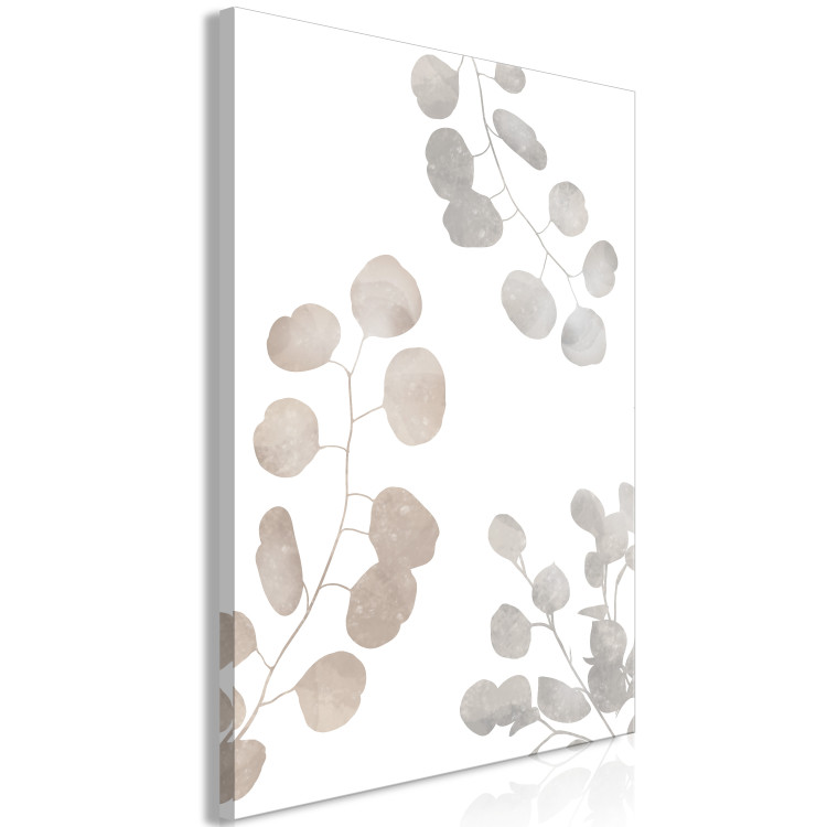 Canvas Print Eucalyptus Composition - Leaves and Twigs of Plants on a White Background 146161 additionalImage 2